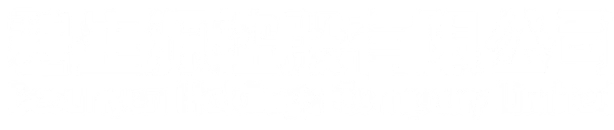 碧生源控股品牌标识