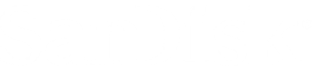 SanDisk品牌标识